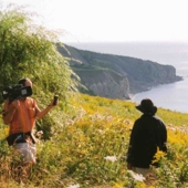 L’inconfortable Monsieur Frank : une filmographie